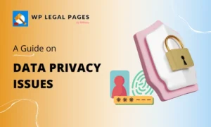 Data Privacy Issues To Avoid