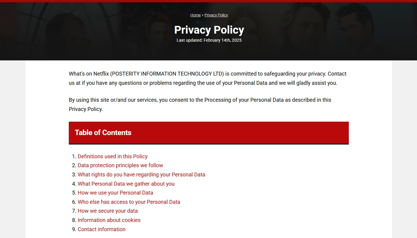 Netflix privacy policy