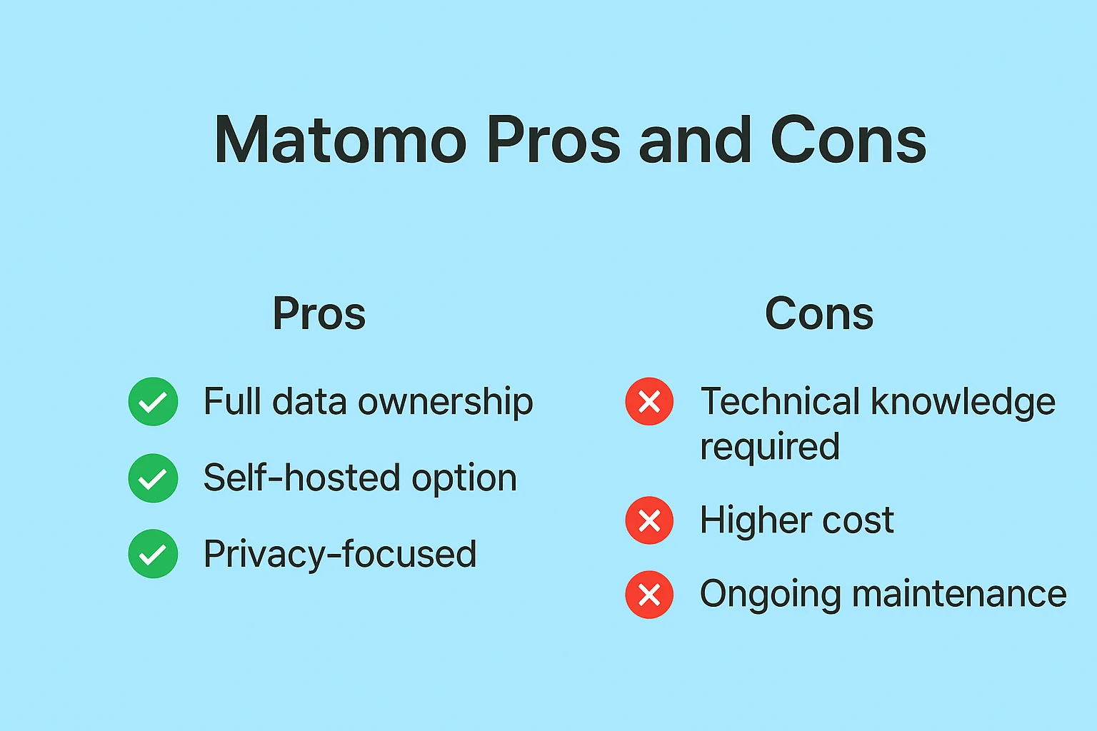 Matomo Pros and Cons