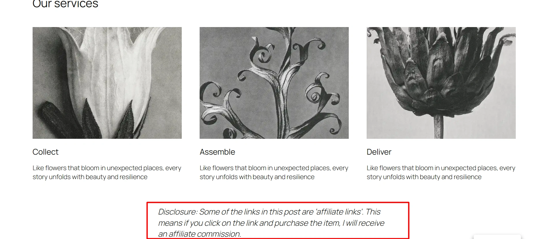 Affiliate disclousre on website